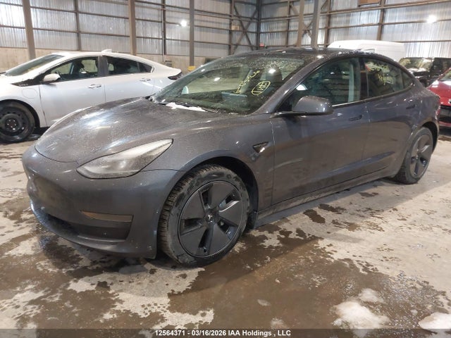 Продаж на аукціоні авто 2023 Tesla Model 3 Rwd, vin: LRW3E1FA9PC945216, номер лоту: 12564371