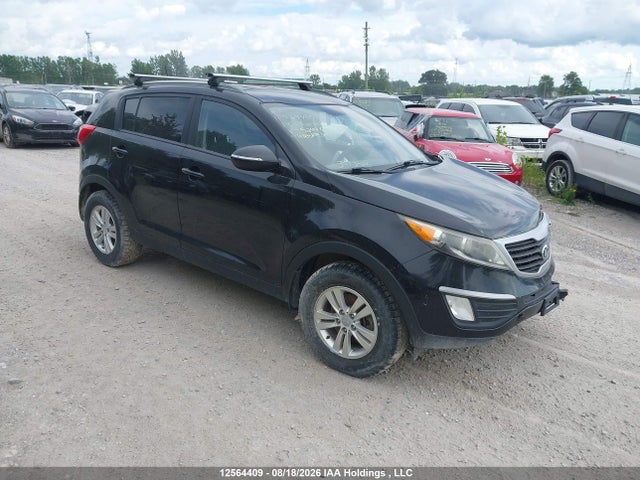 Aukcja sprzedaży 2013 Kia Sportage Lx, vin: KNDPB3A22D7524497, numer aukcji: 12564409