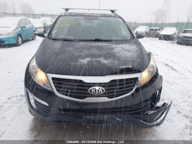 12564409 :رقم المزاد ، KNDPB3A22D7524497 vin ، 2013 Kia Sportage Lx مزاد بيع