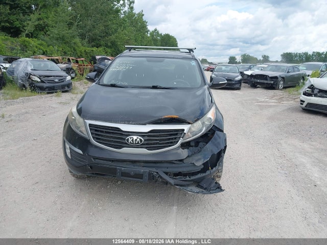 12564409 :رقم المزاد ، KNDPB3A22D7524497 vin ، 2013 Kia Sportage Lx مزاد بيع
