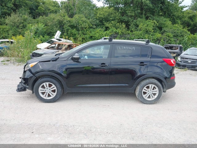 12564409 :رقم المزاد ، KNDPB3A22D7524497 vin ، 2013 Kia Sportage Lx مزاد بيع