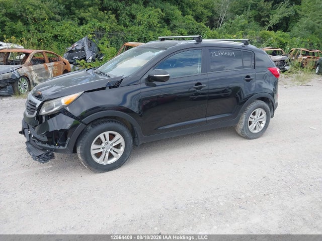 12564409 :رقم المزاد ، KNDPB3A22D7524497 vin ، 2013 Kia Sportage Lx مزاد بيع
