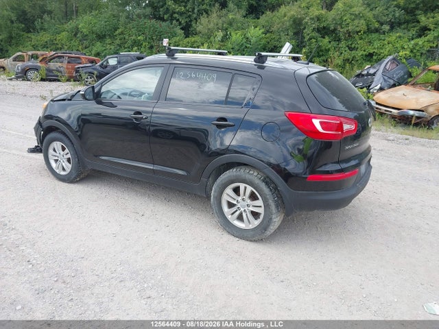 12564409 :رقم المزاد ، KNDPB3A22D7524497 vin ، 2013 Kia Sportage Lx مزاد بيع