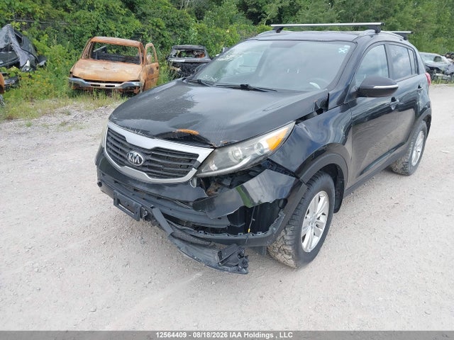 12564409 :رقم المزاد ، KNDPB3A22D7524497 vin ، 2013 Kia Sportage Lx مزاد بيع