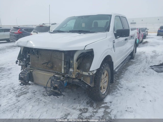 1FTFW1E89PKE40911 Ford F150 Supercrew