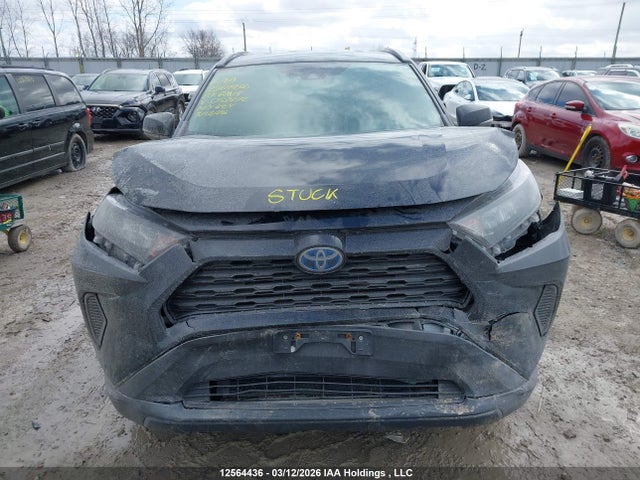 12564436 :رقم المزاد ، 2T3BWRFV7LW052272 vin ، 2020 Toyota Rav4 Le مزاد بيع