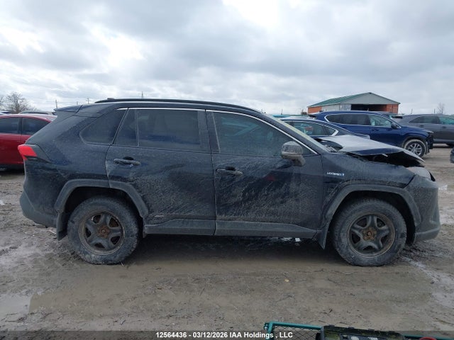 12564436 :رقم المزاد ، 2T3BWRFV7LW052272 vin ، 2020 Toyota Rav4 Le مزاد بيع