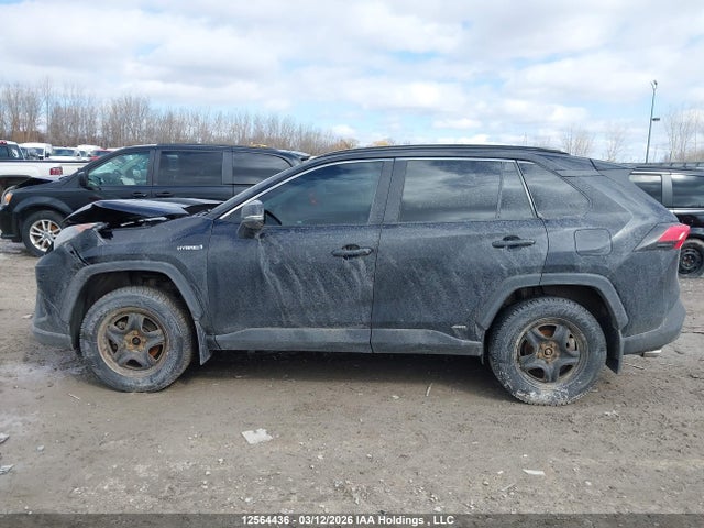 12564436 :رقم المزاد ، 2T3BWRFV7LW052272 vin ، 2020 Toyota Rav4 Le مزاد بيع
