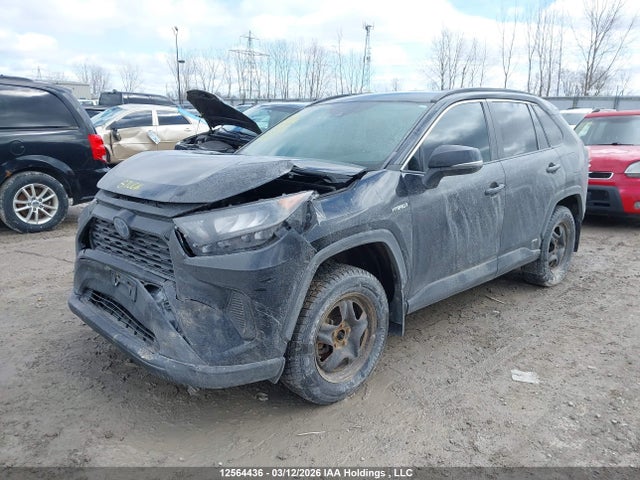12564436 :رقم المزاد ، 2T3BWRFV7LW052272 vin ، 2020 Toyota Rav4 Le مزاد بيع