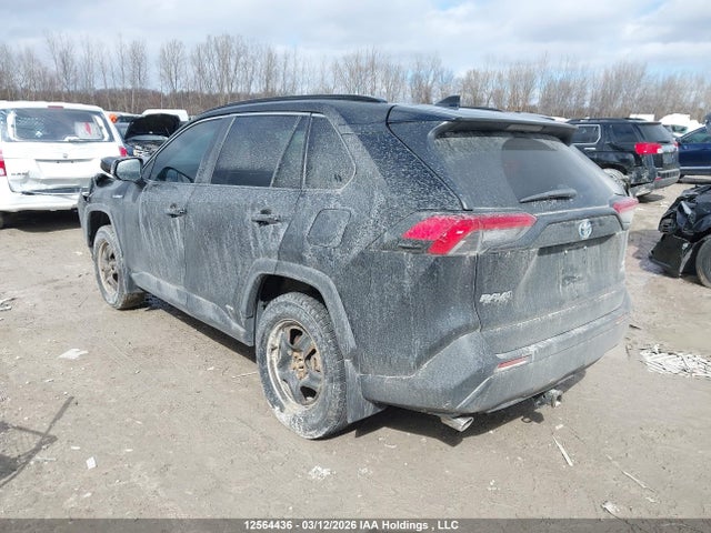 12564436 :رقم المزاد ، 2T3BWRFV7LW052272 vin ، 2020 Toyota Rav4 Le مزاد بيع