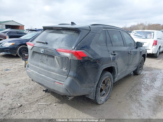 12564436 :رقم المزاد ، 2T3BWRFV7LW052272 vin ، 2020 Toyota Rav4 Le مزاد بيع