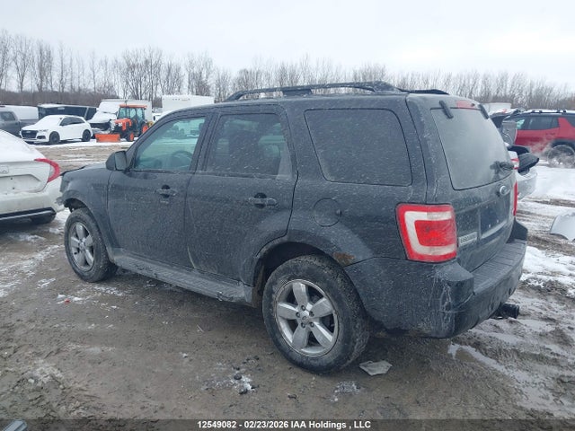 Aukcja sprzedaży 2009 Ford Escape Xlt Automatic, vin: 1FMCU93G69KA31197, numer aukcji: 12549082