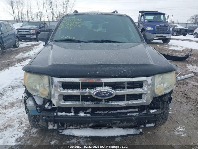 Aukcja sprzedaży 2009 Ford Escape Xlt Automatic, vin: 1FMCU93G69KA31197, numer aukcji: 12549082