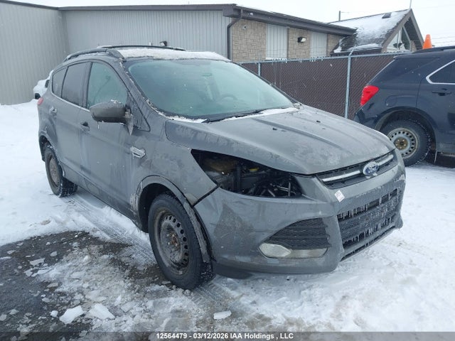 Продаж на аукціоні авто 2013 Ford Escape Se, vin: 1FMCU0GX0DUB18791, номер лоту: 12564479