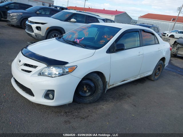 12564520 :رقم المزاد ، 2T1BU4EE8BC561709 vin ، 2011 Toyota Corolla Le مزاد بيع