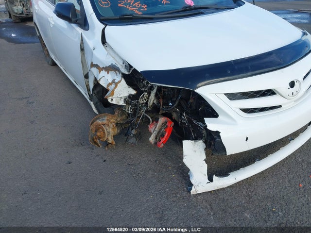 12564520 :رقم المزاد ، 2T1BU4EE8BC561709 vin ، 2011 Toyota Corolla Le مزاد بيع