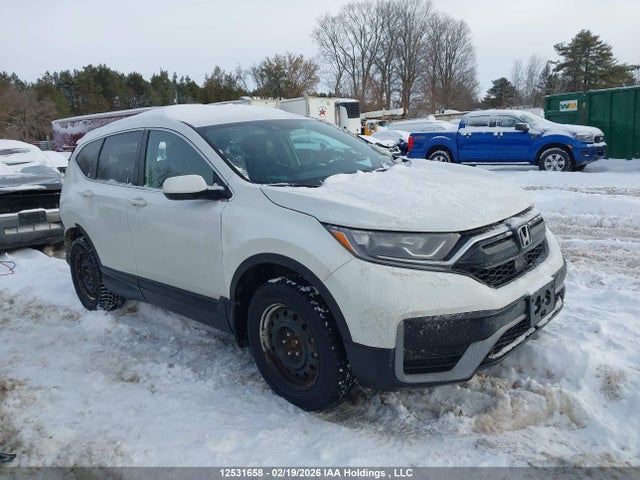 Honda CR-V LX 2020 2HKRW2H29LH219148 Image 13