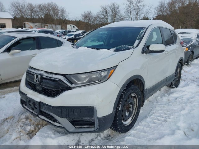 Honda CR-V LX 2020 2HKRW2H29LH219148 Image 2