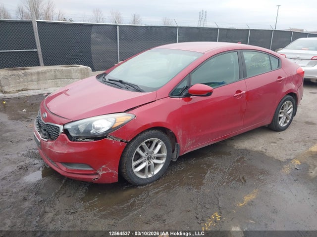 Продаж на аукціоні авто 2015 Kia Forte, vin: KNAFK4A66F5424208, номер лоту: 12564537