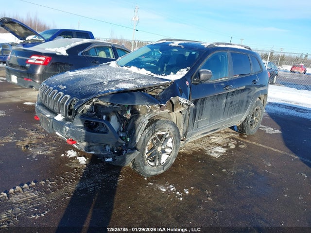 1C4PJMBS2GW223133 Jeep Cherokee Trailhawk