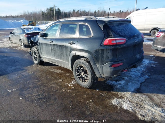 1C4PJMBS2GW223133 Jeep Cherokee Trailhawk