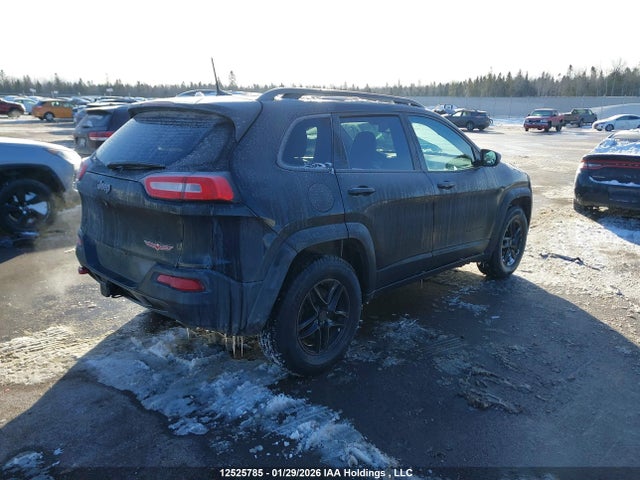1C4PJMBS2GW223133 Jeep Cherokee Trailhawk