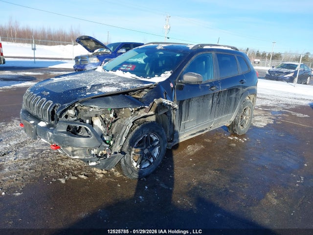 1C4PJMBS2GW223133 Jeep Cherokee Trailhawk