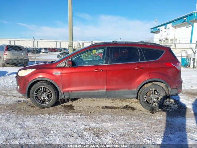 Продаж на аукціоні авто 2014 Ford Escape Se, vin: 1FMCU9GX4EUA32731, номер лоту: 12564599