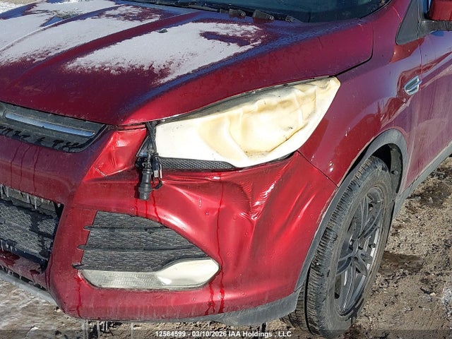 Продаж на аукціоні авто 2014 Ford Escape Se, vin: 1FMCU9GX4EUA32731, номер лоту: 12564599