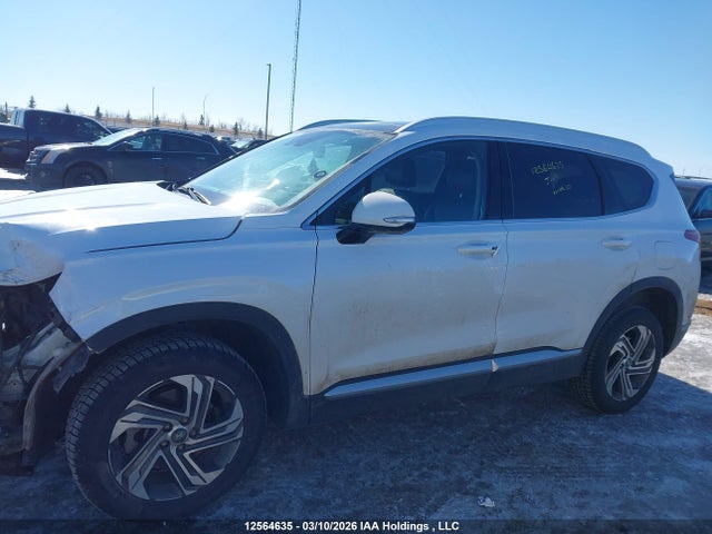 Продажа на аукционе авто 2023 Hyundai Santa Fe Sel Premium, vin: 5NMS3DAJ1PH488142, номер лота: 12564635