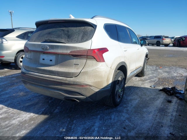 Продажа на аукционе авто 2023 Hyundai Santa Fe Sel Premium, vin: 5NMS3DAJ1PH488142, номер лота: 12564635