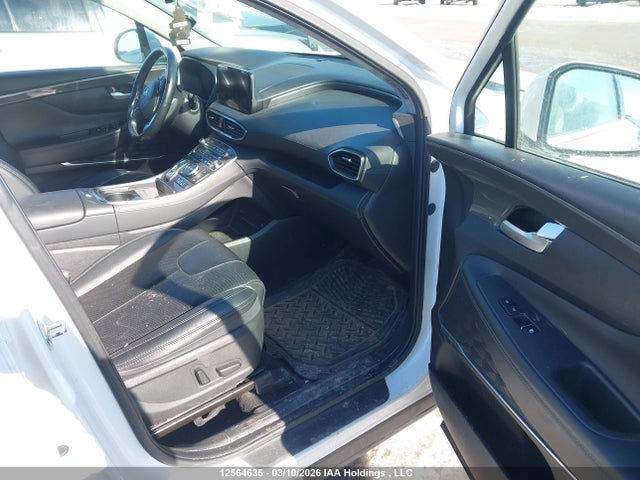 Продажа на аукционе авто 2023 Hyundai Santa Fe Sel Premium, vin: 5NMS3DAJ1PH488142, номер лота: 12564635