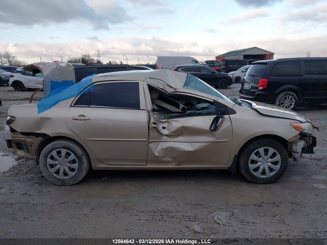 2012 Toyota Corolla Ce მანქანა იყიდება აუქციონზე, vin: 2T1BU4EE5CC862438, აუქციონის ნომერი: 12564642