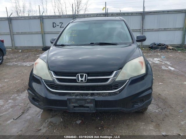 Продаж на аукціоні авто 2010 Honda Cr-v Ex, vin: 5J6RE4H56AL800764, номер лоту: 12564643