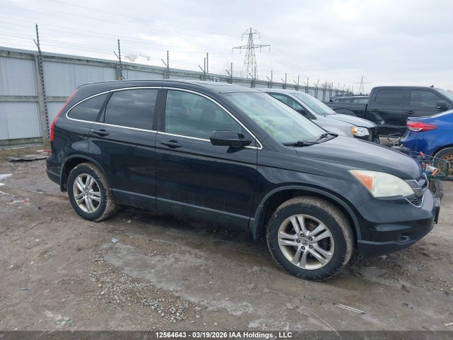 Продаж на аукціоні авто 2010 Honda Cr-v Ex, vin: 5J6RE4H56AL800764, номер лоту: 12564643