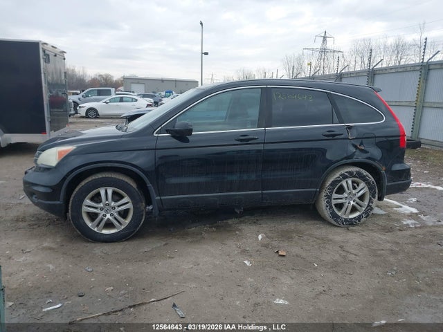 Продаж на аукціоні авто 2010 Honda Cr-v Ex, vin: 5J6RE4H56AL800764, номер лоту: 12564643