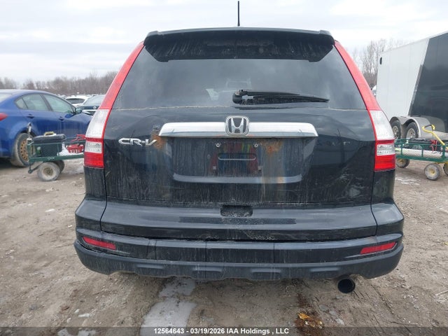 Продаж на аукціоні авто 2010 Honda Cr-v Ex, vin: 5J6RE4H56AL800764, номер лоту: 12564643