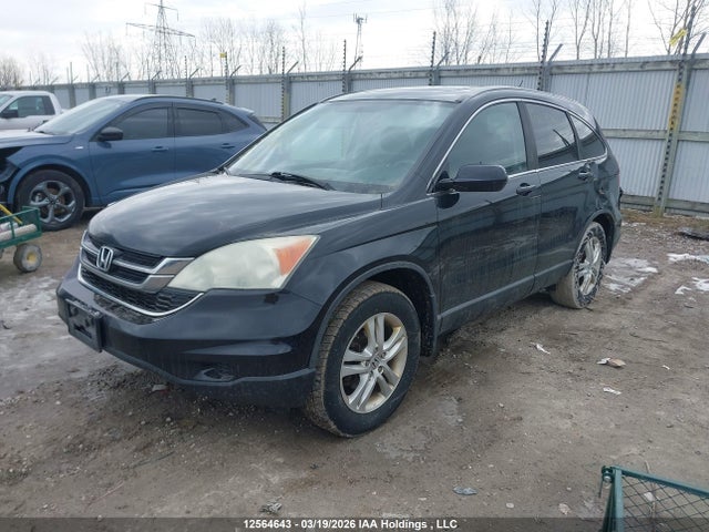 Продаж на аукціоні авто 2010 Honda Cr-v Ex, vin: 5J6RE4H56AL800764, номер лоту: 12564643