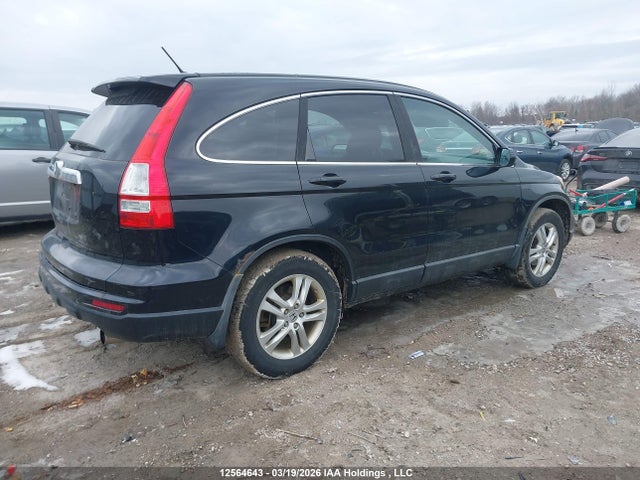 Продаж на аукціоні авто 2010 Honda Cr-v Ex, vin: 5J6RE4H56AL800764, номер лоту: 12564643