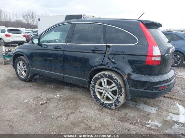 Продаж на аукціоні авто 2010 Honda Cr-v Ex, vin: 5J6RE4H56AL800764, номер лоту: 12564643