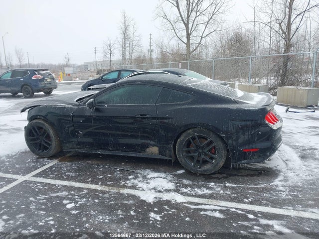 Aukcja sprzedaży 2019 Ford Mustang, vin: 1FA6P8TH5K5172865, numer aukcji: 12564667
