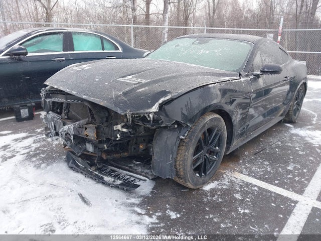 Aukcja sprzedaży 2019 Ford Mustang, vin: 1FA6P8TH5K5172865, numer aukcji: 12564667