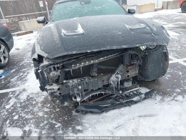 Aukcja sprzedaży 2019 Ford Mustang, vin: 1FA6P8TH5K5172865, numer aukcji: 12564667