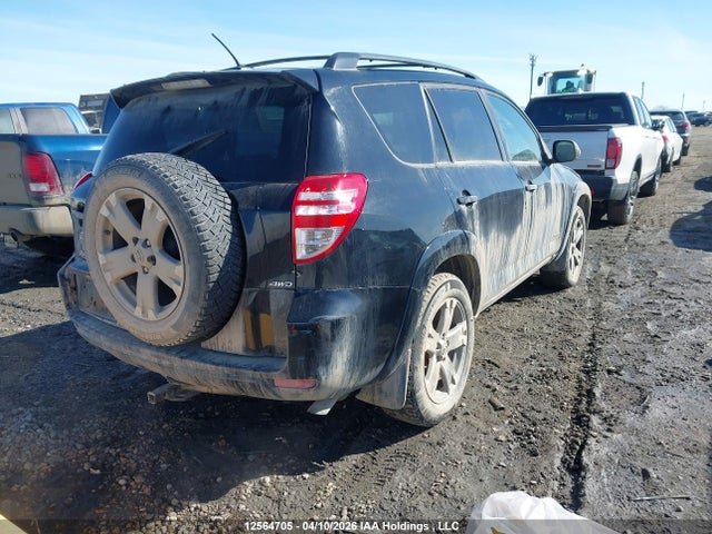 2011 Toyota Rav4 მანქანა იყიდება აუქციონზე, vin: 2T3RF4DV8BW084134, აუქციონის ნომერი: 12564705