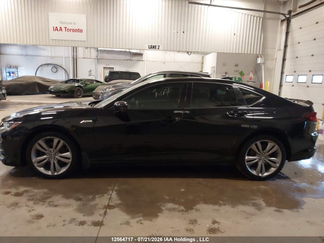 Auction sale of the 2021 Acura Tlx A-spec, vin: 19UUB6F59MA802551, lot number: 12564717