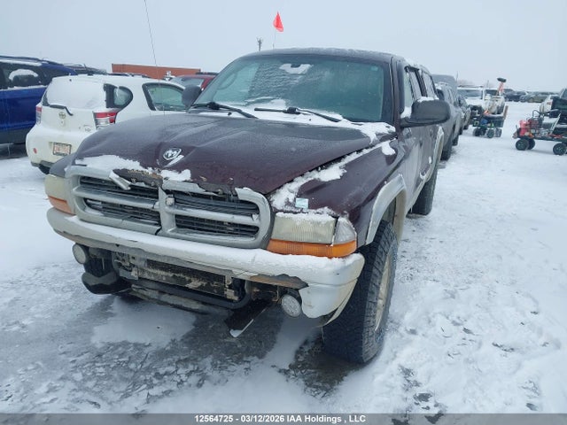 Aukcja sprzedaży 2004 Dodge Dakota Quad Slt, vin: 1D7HG48N74S728193, numer aukcji: 12564725
