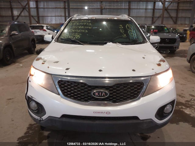 2011 Kia Sorento Ex მანქანა იყიდება აუქციონზე, vin: 5XYKU3A27BG069053, აუქციონის ნომერი: 12564733