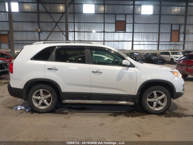 2011 Kia Sorento Ex მანქანა იყიდება აუქციონზე, vin: 5XYKU3A27BG069053, აუქციონის ნომერი: 12564733