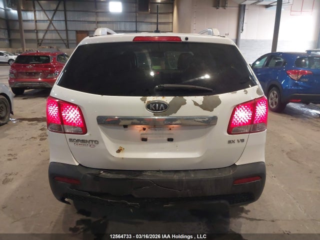 2011 Kia Sorento Ex მანქანა იყიდება აუქციონზე, vin: 5XYKU3A27BG069053, აუქციონის ნომერი: 12564733