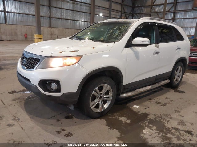 2011 Kia Sorento Ex მანქანა იყიდება აუქციონზე, vin: 5XYKU3A27BG069053, აუქციონის ნომერი: 12564733
